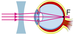 0201f1pk-869c-247x114.png