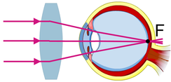 0201f1pw-7b79-244x117.png