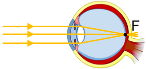 0201f2a8-9765-289x137.png