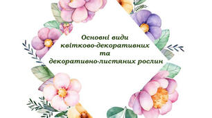 Основні види квітково-декоративних та декоративно-листяних рослин