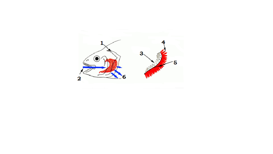 0201f587-01e5-940x529.png