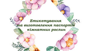 Етикетування та виготовлення паспортів кімнатних рослин. 