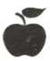 0201f6op-e3fd-55x67.png