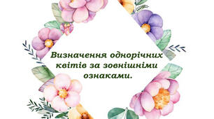 Визначення однорічних квітів за зовнішніми ознаками.