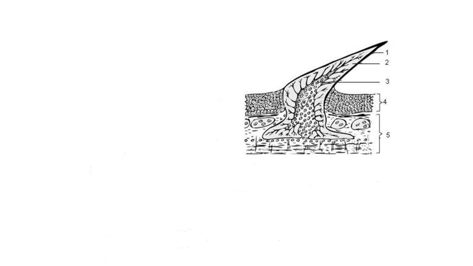 0201f7rh-531c-940x529.png