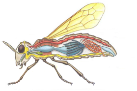 0201f8dj-204f-279x185.png