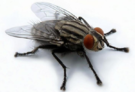 0201f8nx-f3a3-135x92.png