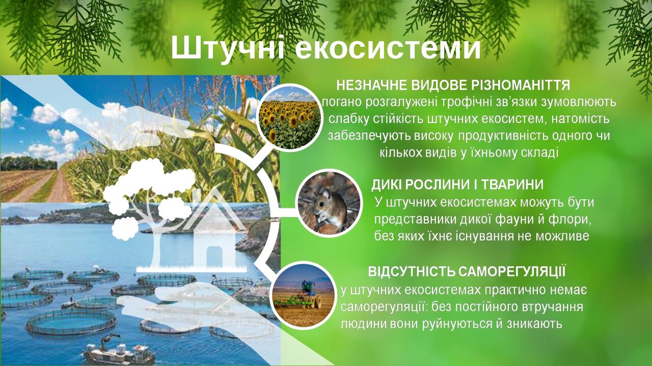 Штучні екосистеми BASIC LAYOUT