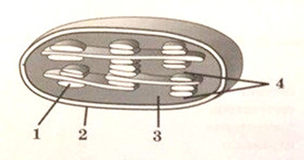 0201fj3x-9423-433x228.png