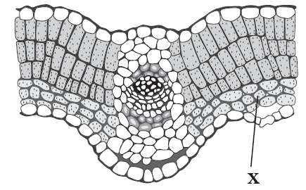 0201fj86-9d15-435x270.png
