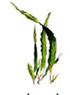 0201fju4-3562-97x132.png