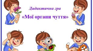 Дидактична гра «Мої органи чуття»