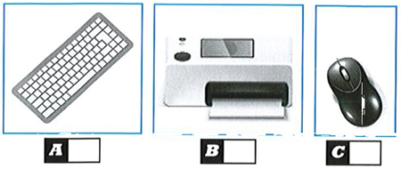 0201fl82-743d-450x190.png