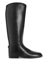 BOOT | meaning in the Cambridge English Dictionary