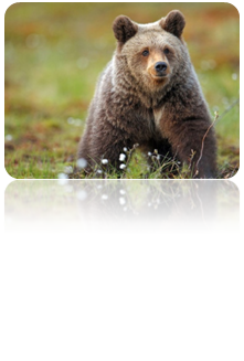 0201fqqn-ef7c-221x327.png