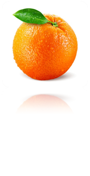 0201fqrk-29ef-178x347.png