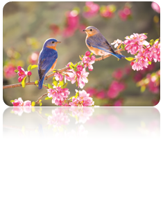 0201fqrx-9356-235x309.png