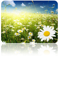 0201fqry-44e7-208x307.png