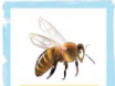 0201frgl-3cea-104x78.png
