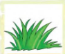 0201frh5-05b0-94x78.png