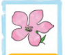 0201frmu-ef36-114x96.png