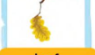 0201fsnw-d3c3-95x55.png