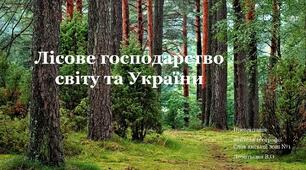 Презентація "Лісове господарство світу та України"