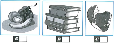 0201fv0d-2d6c-458x174.png