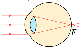 0201fv9l-8866-291x173.png