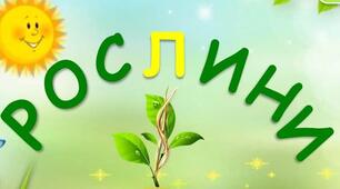 Тест "Рослини"