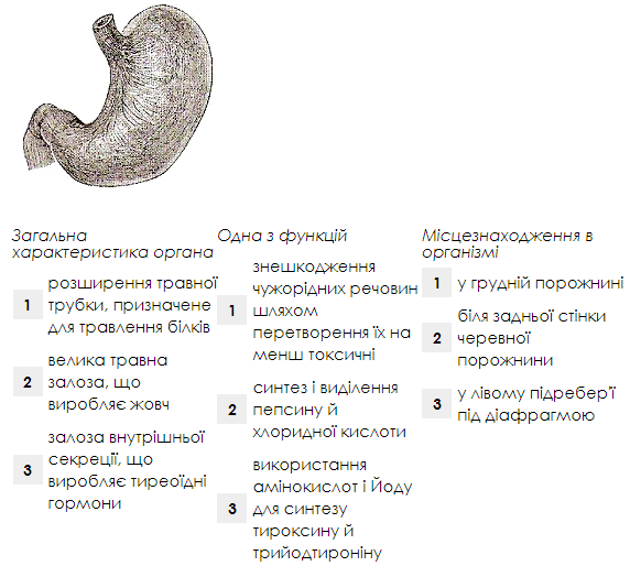 0201fxf7-b6cc-572x514.png