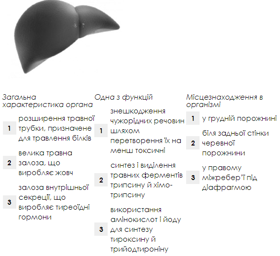 0201fxg8-2bbd-567x519.png