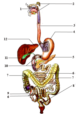 0201fxiq-3d35-271x396.png