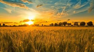 Українці у світовій культурі