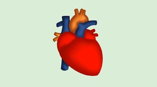 Тест до теми "Кровоносна система"4 клас