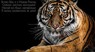 Привітання з роком тигра ,,картинка,,