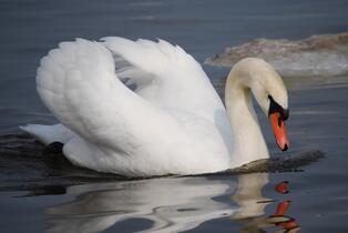 0201g6q1-59f7-471x315.jpg