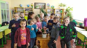 Галерея кімнатних рослин
