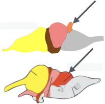 0201glj5-5f29-206x203.png