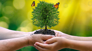 Nature and environment