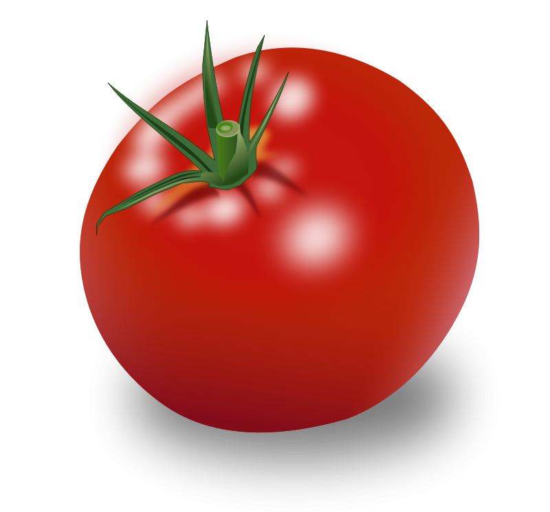 0201h1ph-0576-800x746.png