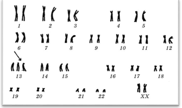 0201h1rj-4ae6-586x348.png