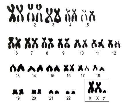 0201h1s3-7bb3-424x364.png