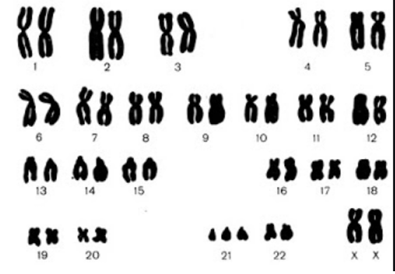 0201h1sg-18a0-563x391.png