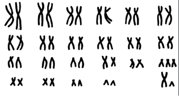 0201h1st-546c-610x334.png