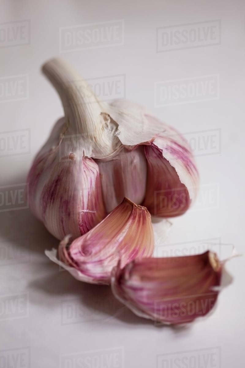 Garlic bulb with garlic cloves - Stock Photo - Dissolve