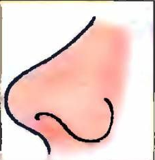0201h3hy-e7db-227x234.png