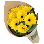 Букет из 9 желтых гербер - купить с доставкой по Петербургу, выгодно в FloristCenter