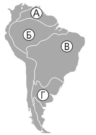0201h4go-4281-307x434.jpg