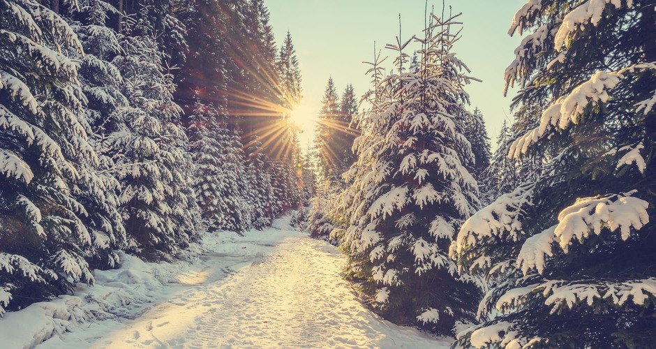 Winter Solstice 2021: When Is It, And What Is It? - Farmers' Almanac
